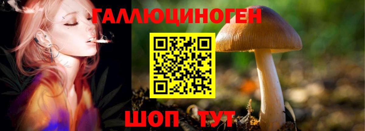 Карабулак  Галлюциногенные грибы MAGIC MUSHROOMS  Вход с VPN  Галлюциногенные грибы Magic Shrooms 